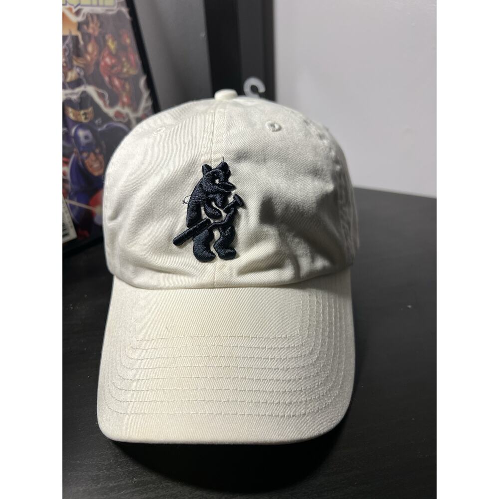 Chicago Cubs Hat